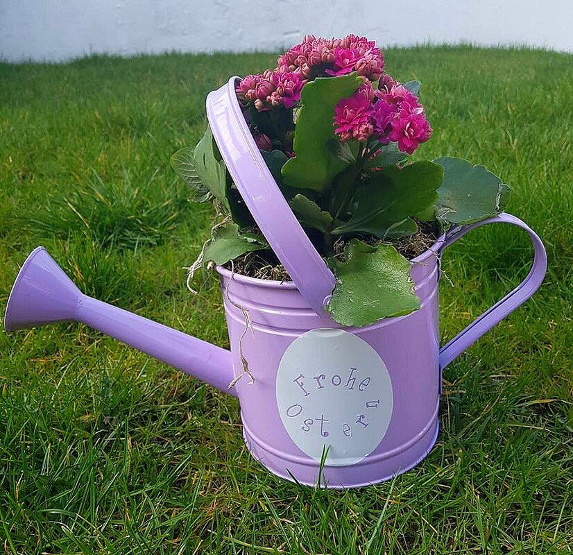 Lila Gießkanne mit pinken Blüten und einem Schild mit 'Frohe Ostern' auf grünem Rasen.