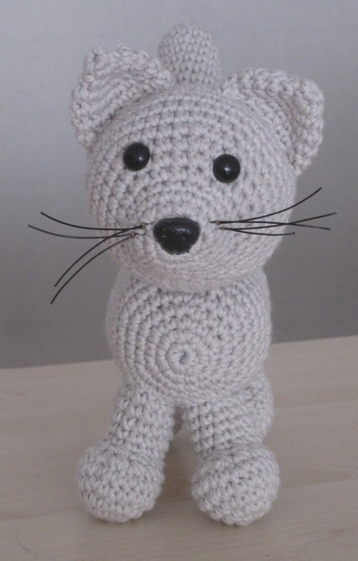 Einfarbige Katze - Bild 2