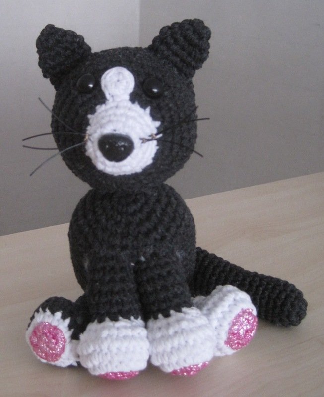 Schwarz- Weiße Katze