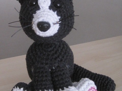 Schwarz- Weiße Katze