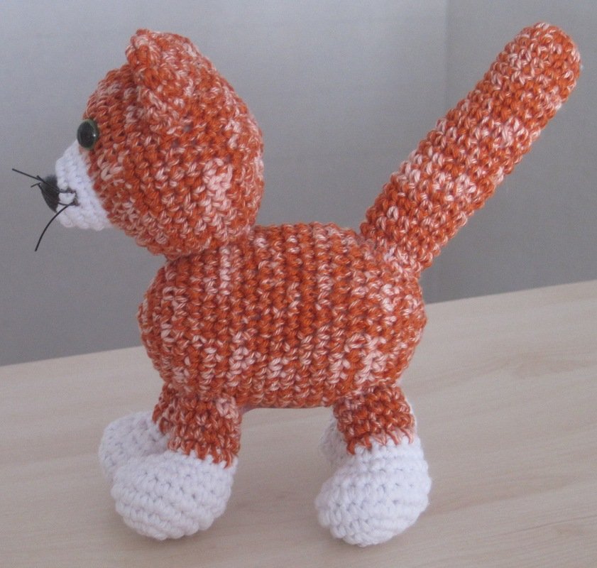 Rot Weiße Katze - Bild 2