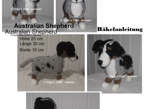 Austrailian Shepherd
