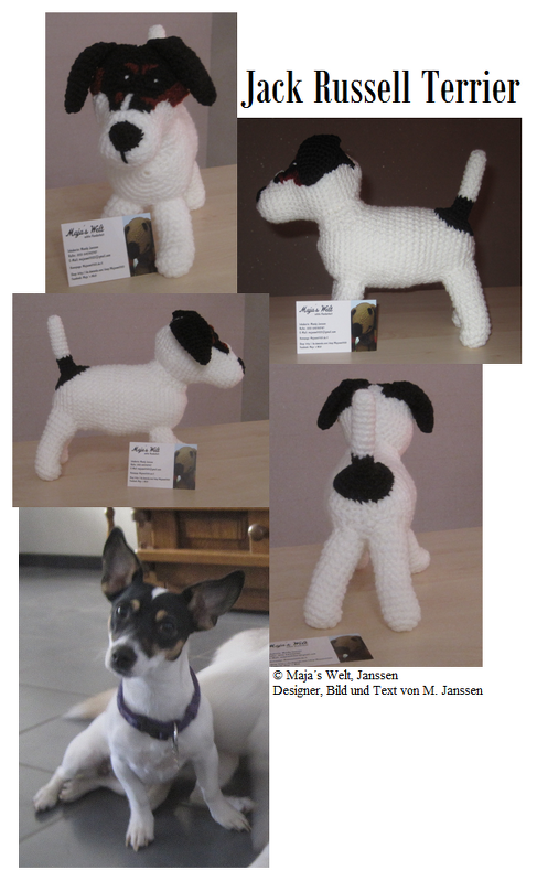 Jack Russel Terrier Dame Phibi