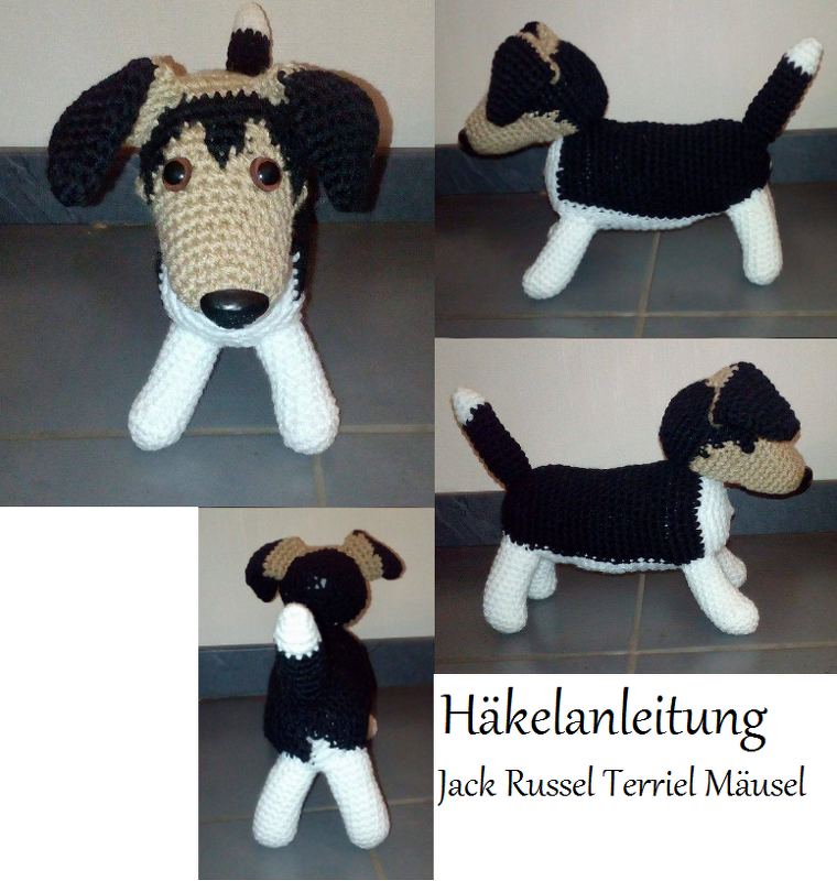 Jack Russel Terrier Mäusel