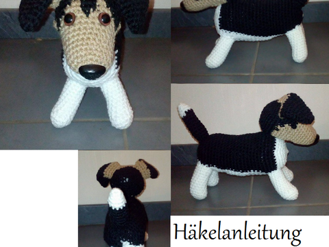 Jack Russel Terrier Mäusel