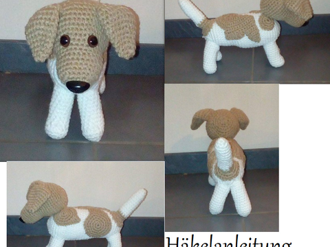 Jack Russel Terrier Moppel