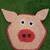 Kuscheltuch Schwein