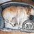 Nähanleitung Hundebett | 3 Größen mit Reißverschluss