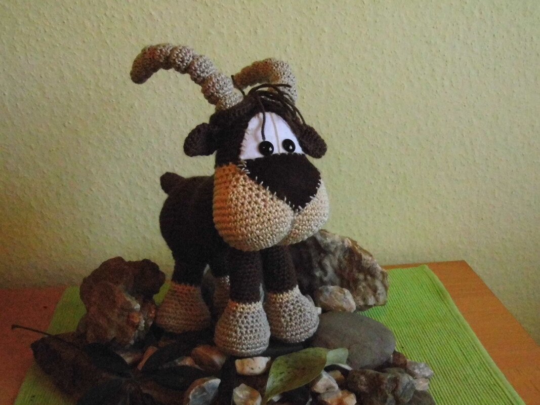 Steinbock Basti - Bild 3