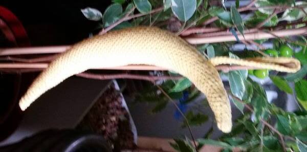 super süßer hängender Halbmond