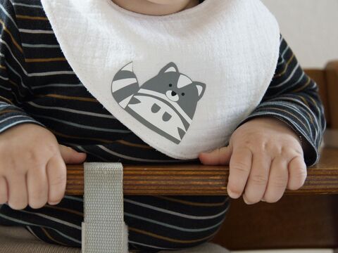 Plotterdatei Waschbär