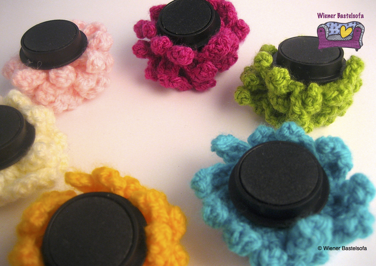 Magnete "15-Minuten-Chrysantheme"