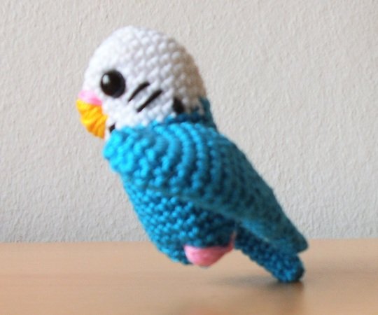 Small budgies (sitting & flying)