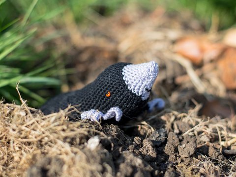 Buddelflink, der kleine Maulwurf