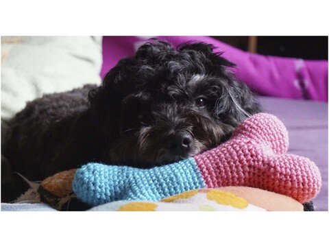 Häkelanleitung Hundespielzeug "Knochen"