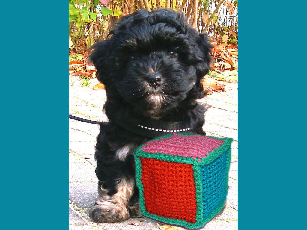 Crochet Pattern: Dog Toy "Cube"