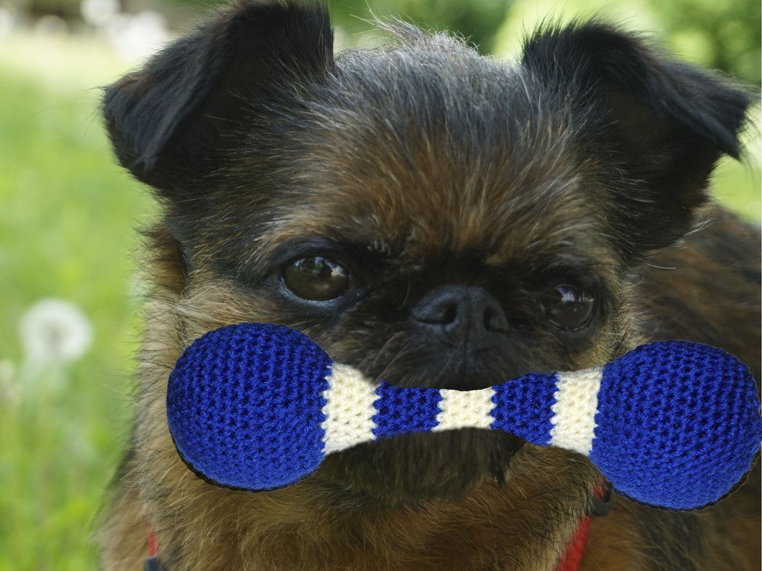 Häkelanleitung Hundespielzeug "Wurfkeule"