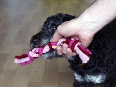 Häkelanleitung Hundespielzeug "Zerrseil"