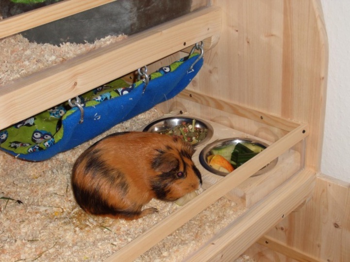 Construction Manua Guinea Pig Villa Elli!