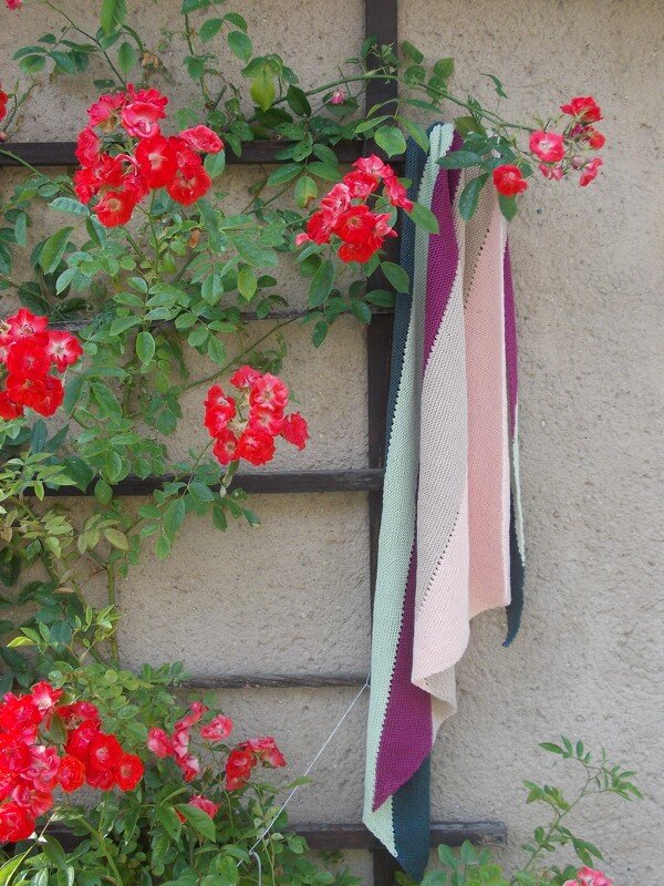 Mehrfarbig gestricktes Dreieckstuch an Rankgitter neben roten Rosen