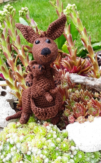 Känguru Mutti und Kind