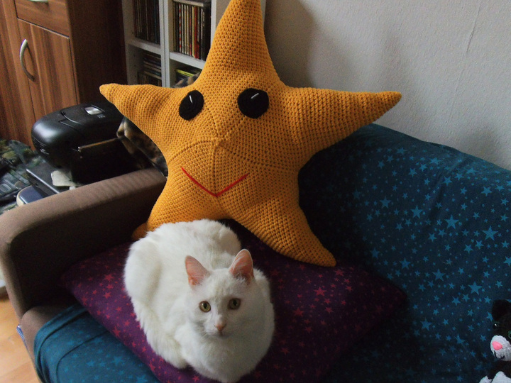 Sternkissen XXL Häkelanleitung