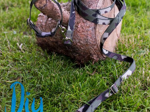Hundehalsband + -leine