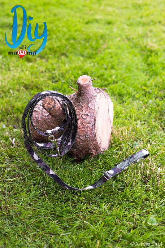 Camouflage-Hundeleine mit Metallkarabiner und verstellbarer Schiebeschnalle auf Holzstumpf im Rasen