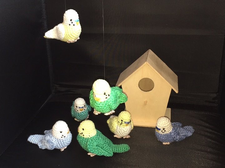 Sparpaket Wellensittich&Nymphensittich Häkelanleitung