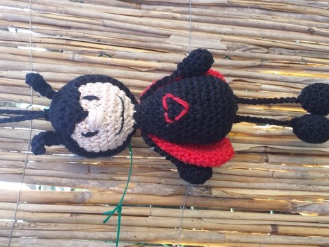 Karl der Marienkäfer als Taschenbaumler