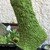 Basil - Socken mit Blättern -