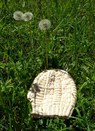Strickmuster für Wintermütze "Die dumme Pusteblume"