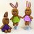 Crochet Pattern Egg Cozies Bunnies