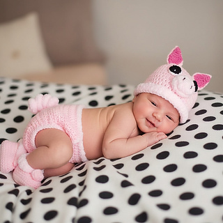Pig Set - PDF Pattern - Crochet - Size 0-3 Months