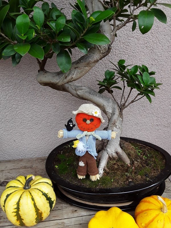 Herbstkranz mit Vogelscheuche, Häkelanleitung - Bild 2