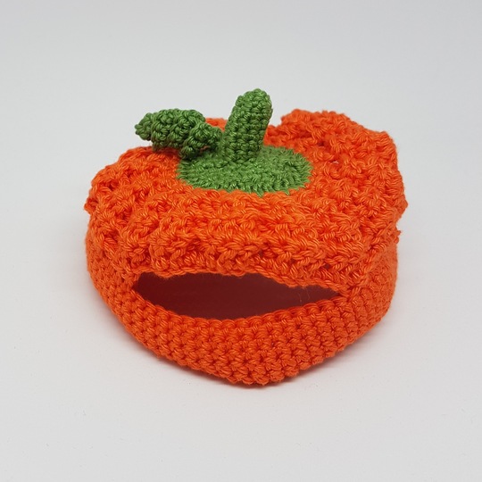 Halloween-Kürbis Outfit für Riesen-Elch Søren