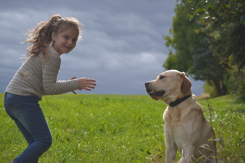 - CARA - Basicpullover alle Größen, ab 74 - Damen Plussize, Lieblingspullover zum WOLLfühlen, leicht anzupassen, unisex