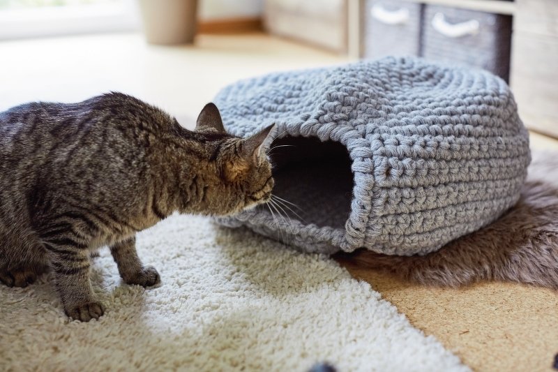 Gehäkelter Katzenkorb aus Schurwolle - Bild 2