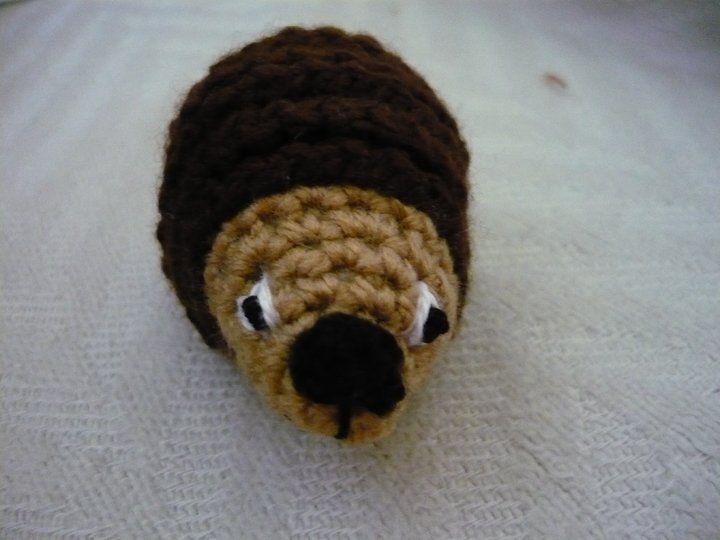 Häkelanleitung Igel Magnet