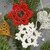 Häkelanleitung: Christbaumschmuck
