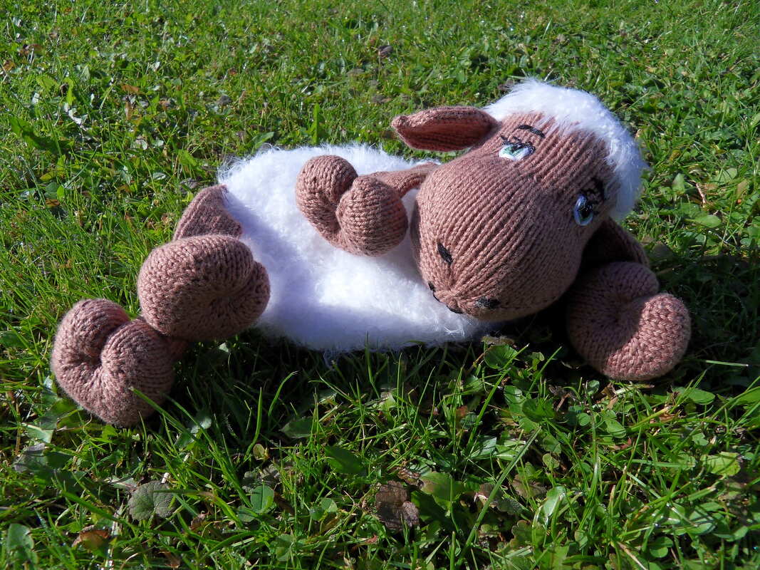 Gestricktes Schaf-Kuscheltier mit braunem Kopf und weißem Körper auf grünem Gras.