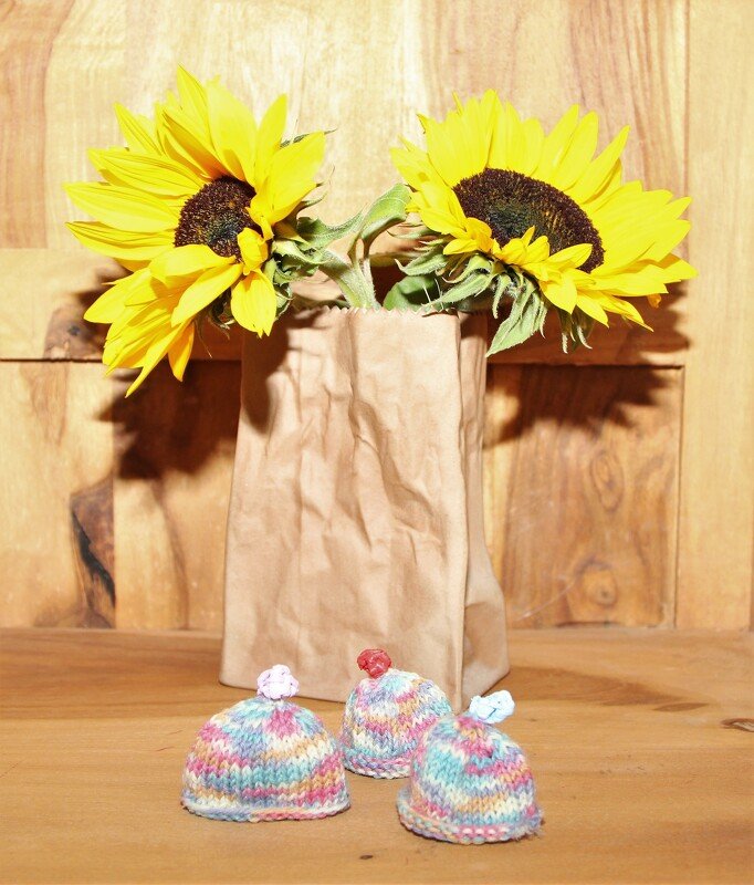 Drei kompakte mehrfarbige gestrickte Eierwärmer mit Bommel vor Sonnenblumen