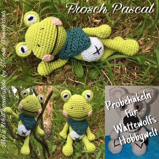 Frosch Pascal