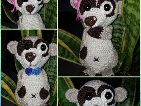 Erdmännchen Fritz oder Karla