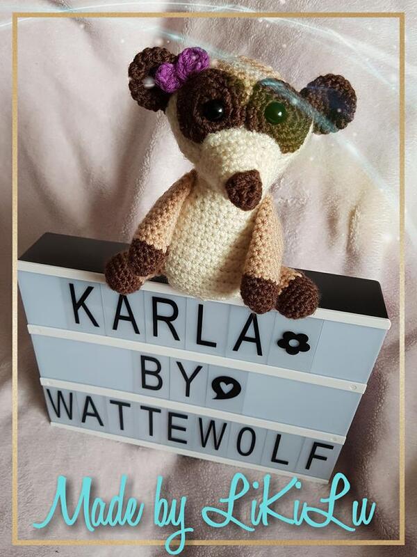Erdmännchen Fritz oder Karla - Bild 3