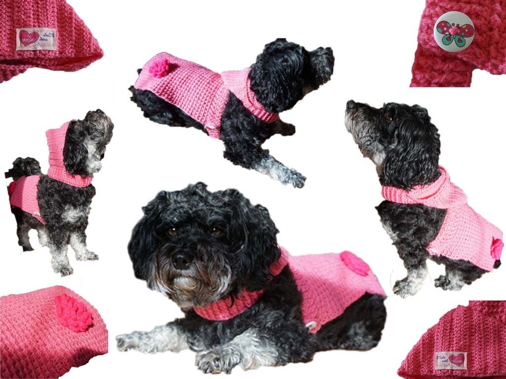 Crochet Pattern for the Dog Coat With Hood (Customizable For Small Dogs)