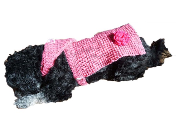 Häkelanleitung Hundemantel mit Kapuze ideal für kleine Hunde und kalte trockne Tage