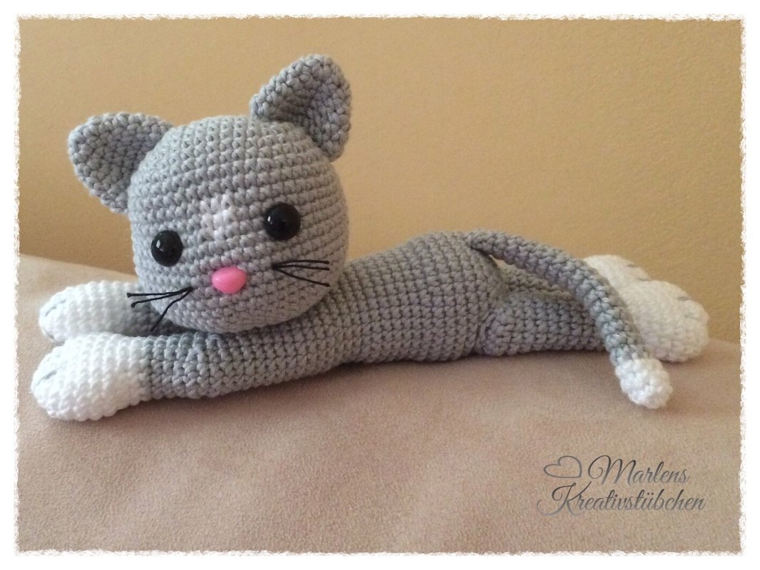 Kätzchen Minou - Bild 2