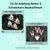 2er Set Anleitung Amigurumi Rentier und Schneemann Baumschmuck