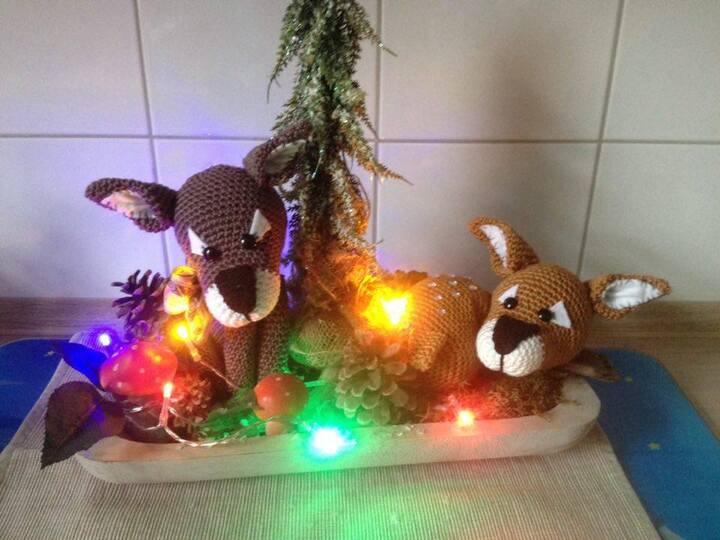 Lukas und Luci zwei Rehe im Wald